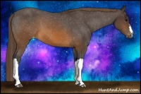 Horse Color:Buckskin Varnish 