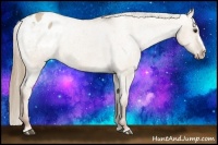 Horse Color:Red Dun Blanket 