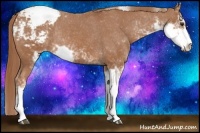 Horse Color:Chestnut Sabino Snowcap Rabicano 