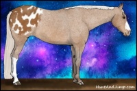 Horse Color:Silver Buckskin Blanket Rabicano 