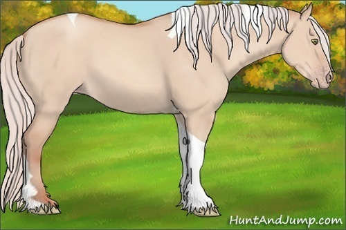 Horse Color: Silver Sable Champagne Dun Tobiano 