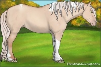 Horse Color:Silver Sable Champagne Dun Tobiano 