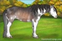 Horse Color:Brown Splash Rabicano 