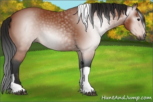 Horse Color:Gray Bay Tobiano Rabicano 