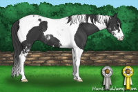 Horse Color:Black Sabino Tobiano 