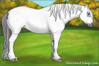 Horse Color:White Spotted Black Splash Frame 