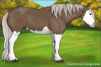 Horse Color:Silver Black Splash 