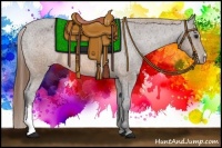 Horse Color:Buckskin Varnish 