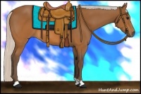Horse Color:Silver Buckskin 