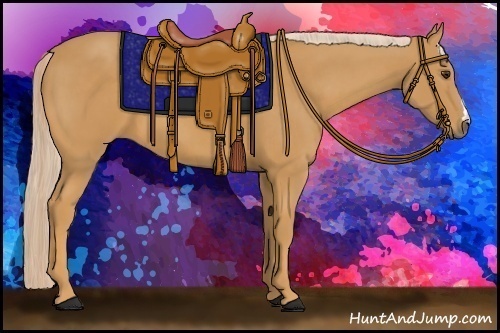 Horse Color: Palomino 