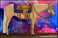 Horse Color:Palomino 