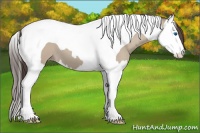 Horse Color:Classic Champagne Dun Splash Tobiano 