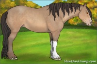 Horse Color:Sable Champagne 