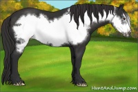 Horse Color:Liver Chestnut Frame 