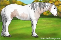 Horse Color:Bay Splash Tobiano 