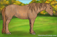 Horse Color:Classic Champagne  Brindle
