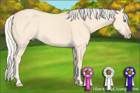 Horse Color:Silver Classic Cream Champagne Dun Splash Frame