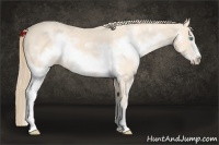 Horse Color:White Spotted Perlino Frame Rabicano 