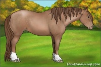 Horse Color:Brown Pearl 