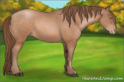 Horse Color: Brown Pearl 