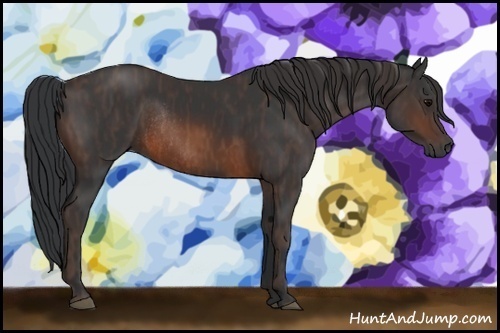 Horse Color:Brown Rabicano Brindle