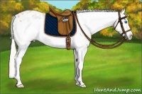 Horse Color:Silver Classic Champagne Dun Splash Frame Appaloosa 