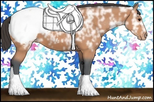 Horse Color: Bay Ice Snowcap 