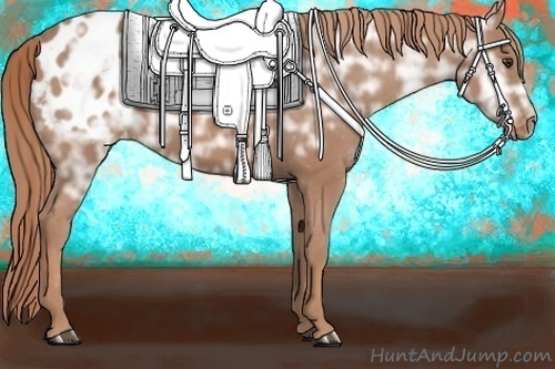 Horse Color: Chestnut Ice Blanket 