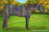 Horse Color:Nacre Black 