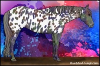 Horse Color:Nacre Black Near Leopard 