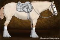 Horse Color:Red Dun Roan Splash Rabicano 