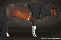 Horse Color:Brown Sabino Tobiano