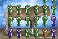 Horse Color:Silver Black Sabino 