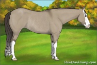 Horse Color:Smoky Grullo Roan Splash Rabicano 