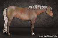 Horse Color:Silver Black 