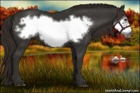 Horse Color:Liver Chestnut Frame 