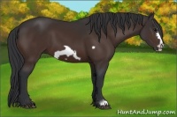 Horse Color:Brown Frame 