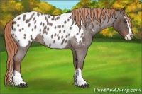 Horse Color:Liver Red Roan Splash Blanket 