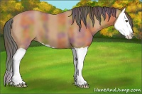 Horse Color:Nacre Bay Splash 