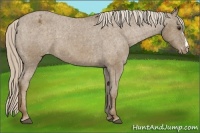 Horse Color:Chocolate Palomino Varnish 
