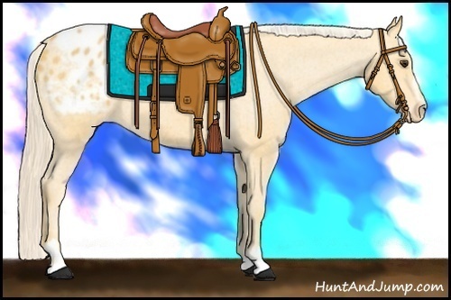 Horse Color: Palomino Sabino Blanket 