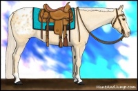 Horse Color:Palomino Sabino Blanket 
