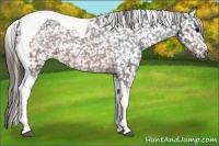 Horse Color:Brown Tobiano Snowcap