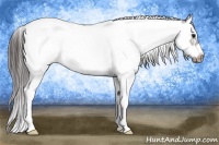 Horse Color:Brown Splash Tobiano Frame Near Leopard 