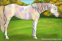 Horse Color:Nacre Buckskin Pearl Splash Tobiano Rabicano 