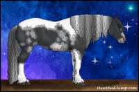 Horse Color:White Spotted Black Splash Tobiano Frame Blanket 