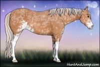Horse Color:Silver Bay Ice Sabino 