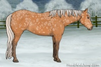 Horse Color:Silver Bay Ice Sabino