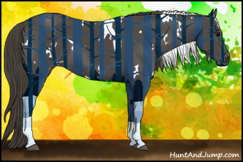 Horse Color: White Spotted Smoky Black Sabino 