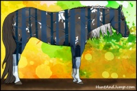 Horse Color:White Spotted Smoky Black Sabino 